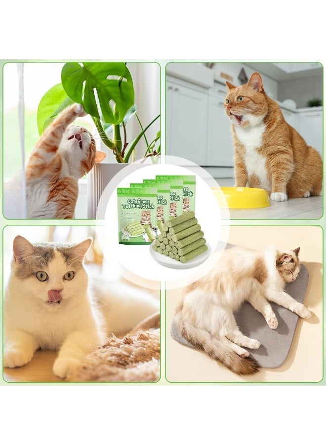 Altheqa Cat Grass Snack, Cat Grass Teething Sticks, Freeze Dried Snacks for Cats, Catnip, Cat Grass Biting Stick, for Dental Care and Hair Balls Removal (24pcs, 4Bags) - Image 5
