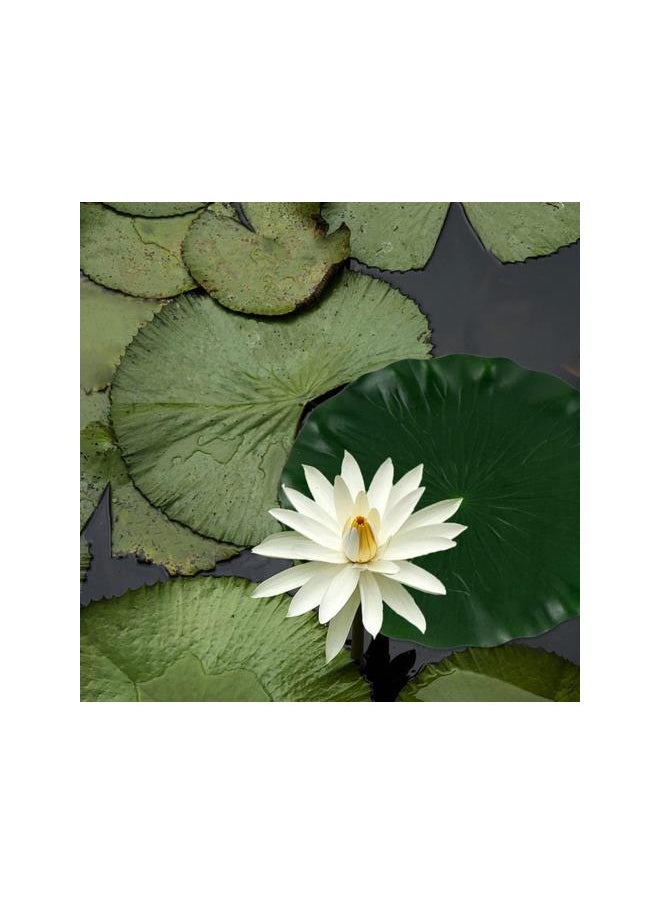 silvercnc - silvercnc 3Pcs Artificial Lily Pad Simulation Green Lotus Leaves Photo Prop Pool Floating Leaves Fish Pond Decor for Home Shop Garden - Image 1