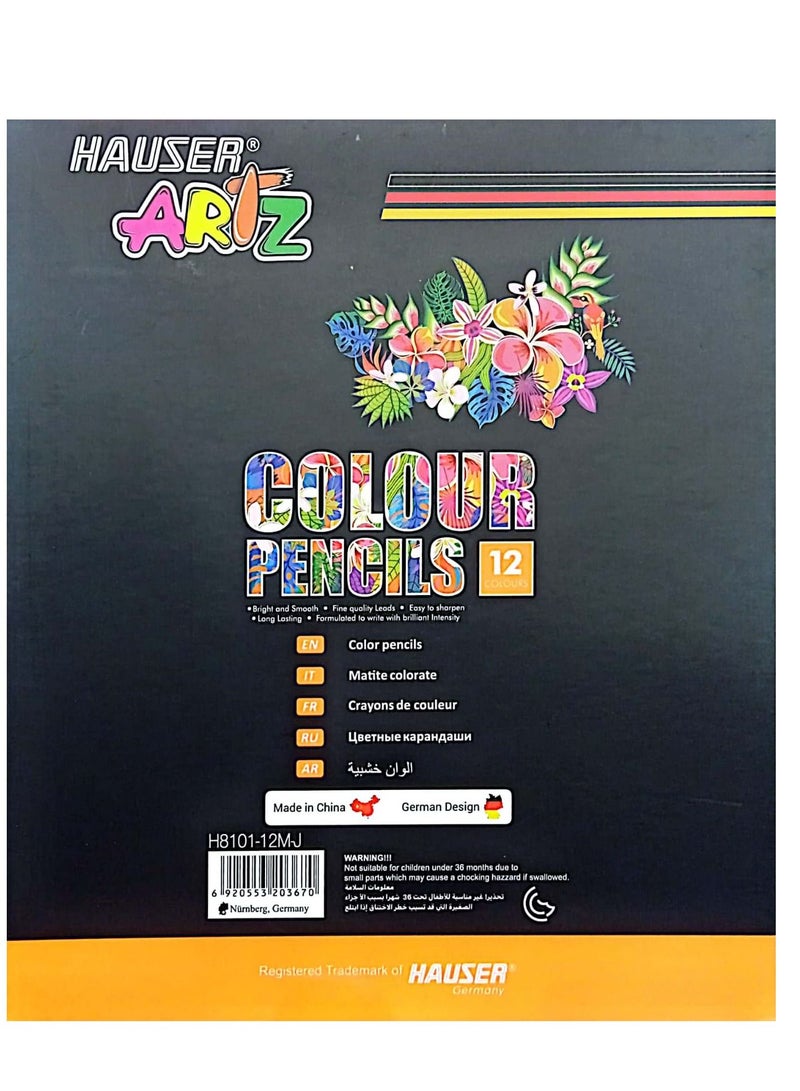 HAUSER 12 PIECES COLOUR PENCILS JUMBO METALLING - Image 2