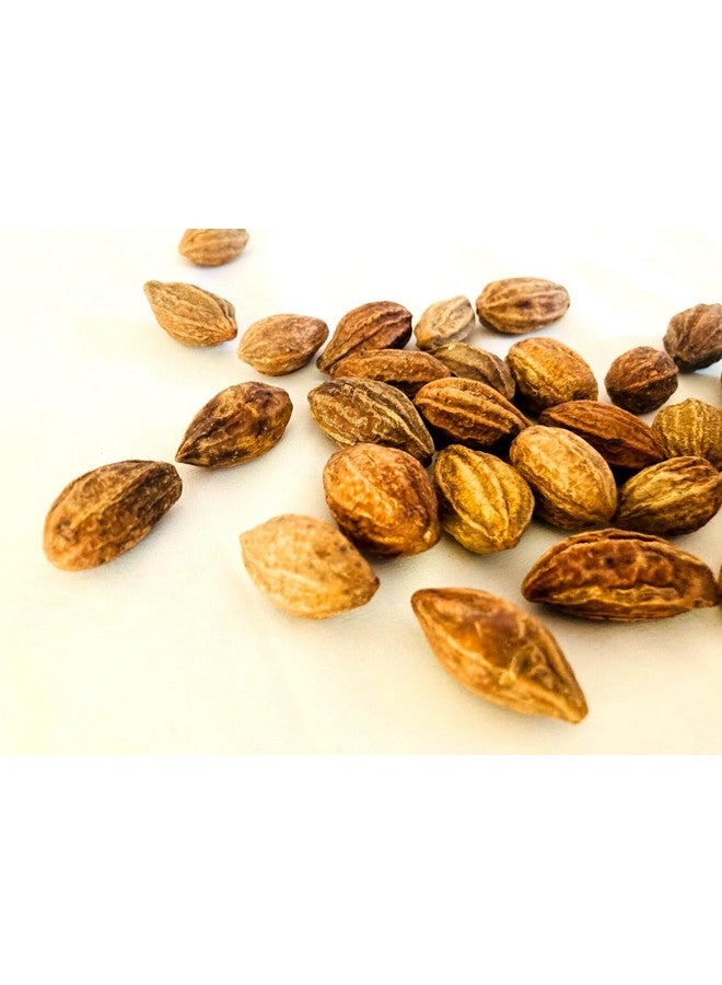 U360 Organics Badi Harad Whole Fresh - Aralu | Inknut | Ink Kut | Haritaki | Kadukkai - Badi Harar - Terminalia Chebula U360_Badi-Harad_C_250g - Image 3
