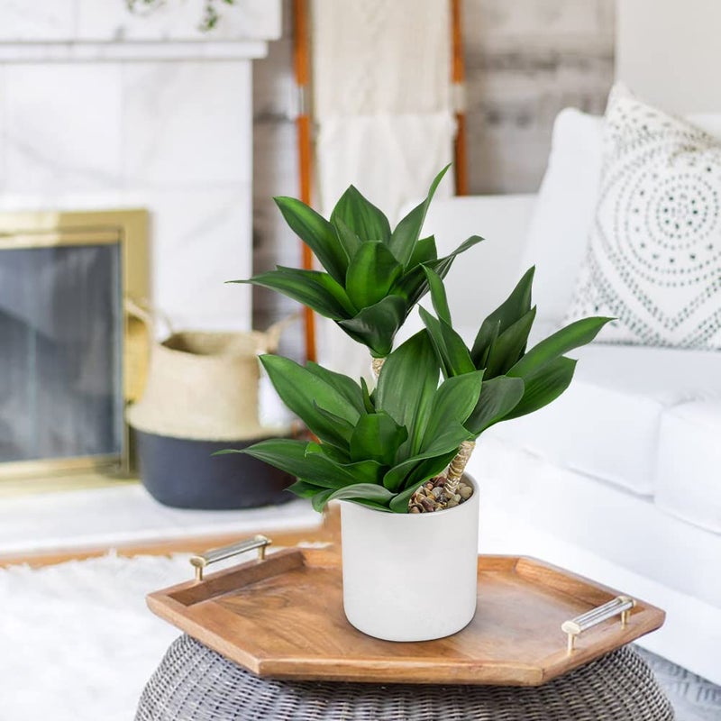 Hollyone Hollyone Large Artificial Agave Plants Fake Three-Head Agave Succulent Plant Potted 15"" Faux Plant in White Pot Succulent Aloe Plant Indoor for Desk Modern Home Decor  - Image 5