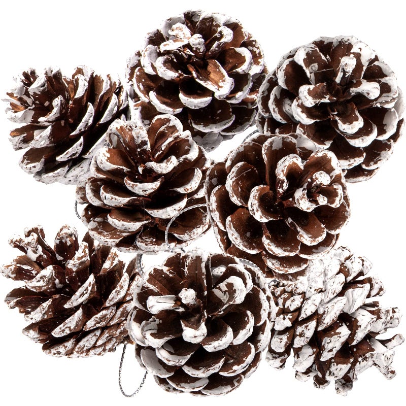 Whaline 25Pcs Christmas Natural Pine Cones Bulk Rustic Snow Pinecones with String Pine Cone Pendant Winter Holiday Hanging Ornament for Xmas Tree Gift Tag Party Decoration 162 Inch