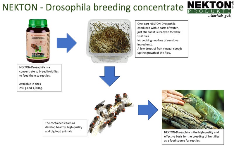 Nekton Drosophila Concentrate Breeding Fruit Flies 250G - Image 2