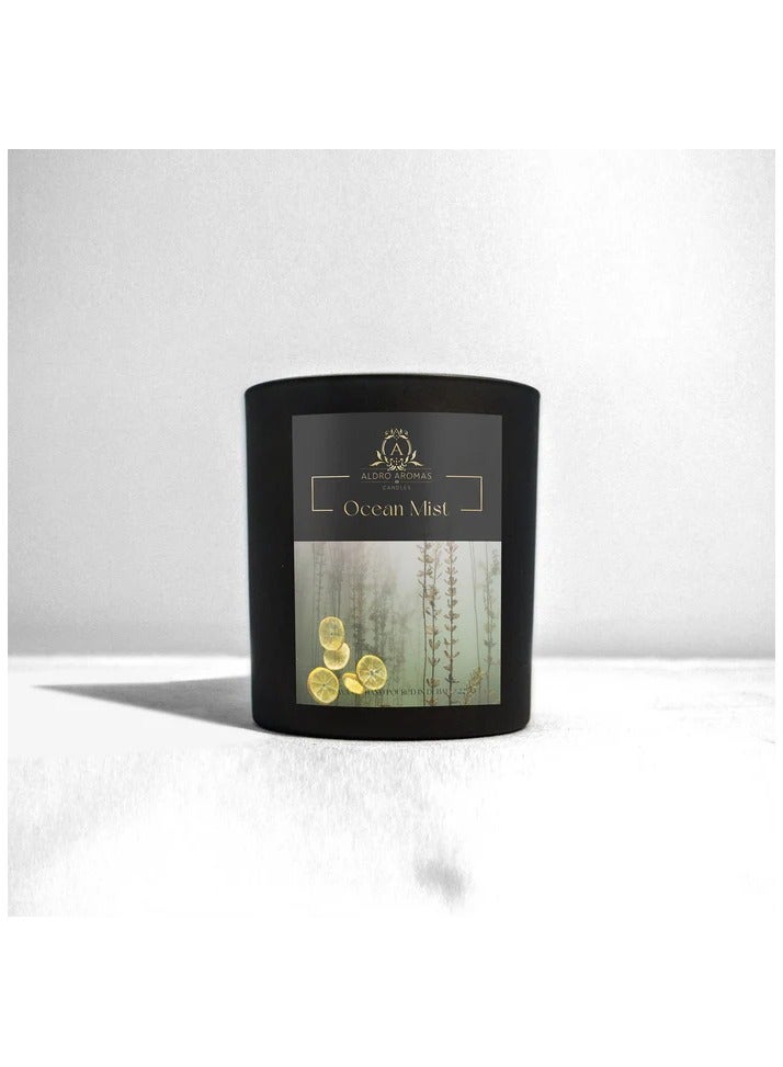 Aldro Aromas Scented Candel in Jar Long Lasting, Fragrance-Ocean Mist 225 Grams - Image 1