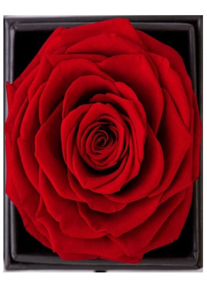 🌹 وردة خالدة يدوية في علبة مجوهرات – هدية عيد الأم، عيد الميلاد، الذكرى السنوية، مفاجأة رومانسية، لا تذبل - Image 5