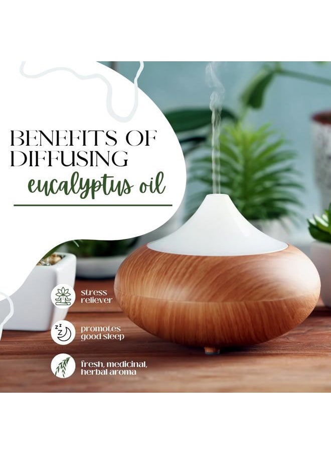 GreenHealth Eucalyptus Globulus Essential Oil – 16 fl oz (473 ml) Aluminum Bottle w/Plug Cap – 100% Pure, Uncut, Undiluted  - Image 5