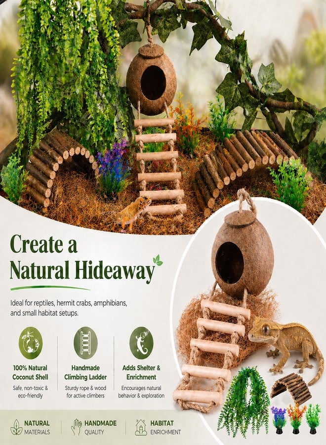 HERCOCCI Crested Gecko Tank Accessories, Reptile Hanging Plants Vines with Natural Coconut Shell Hideout & Climbing Ladder Decor for Hermit Crab Lizard Leopard Gecko Chameleon Snake Terrarium Decor - Image 3