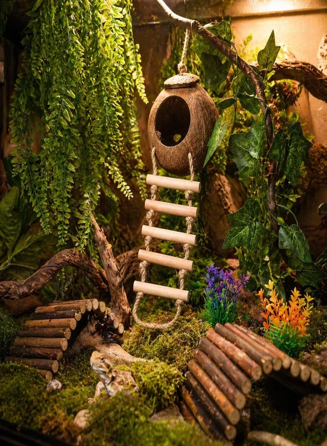 HERCOCCI Crested Gecko Tank Accessories, Reptile Hanging Plants Vines with Natural Coconut Shell Hideout & Climbing Ladder Decor for Hermit Crab Lizard Leopard Gecko Chameleon Snake Terrarium Decor - Image 4