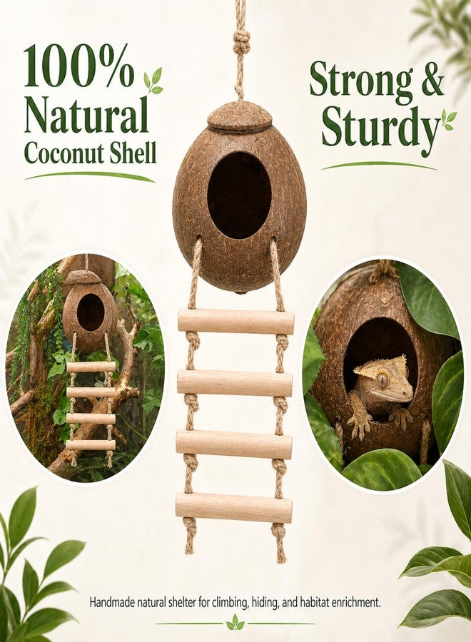HERCOCCI Crested Gecko Tank Accessories, Reptile Hanging Plants Vines with Natural Coconut Shell Hideout & Climbing Ladder Decor for Hermit Crab Lizard Leopard Gecko Chameleon Snake Terrarium Decor - Image 2