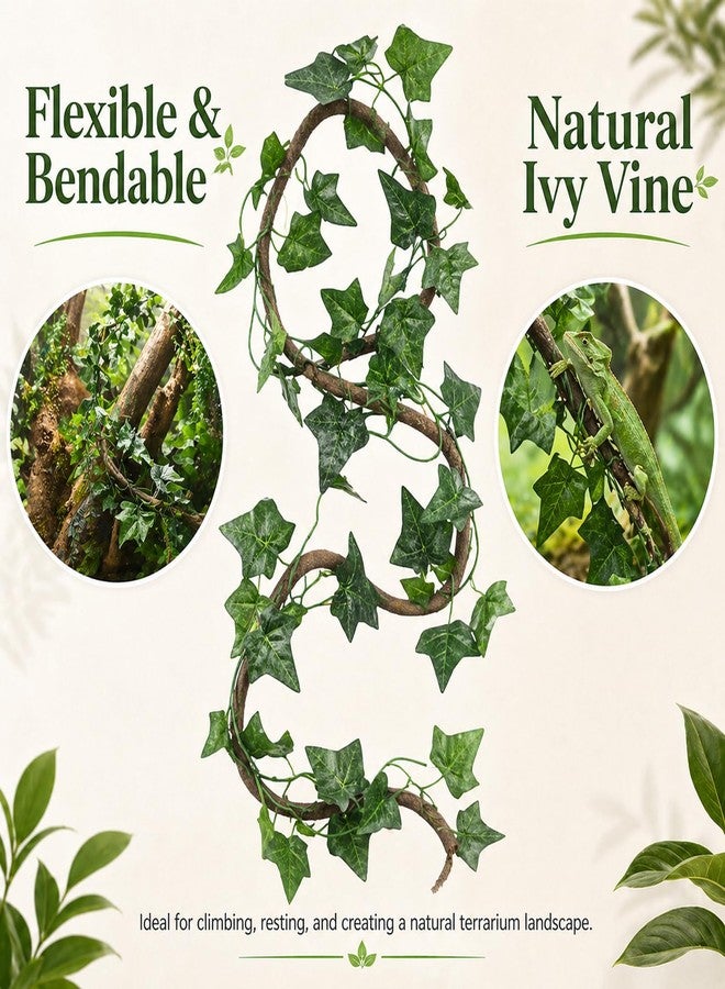 HERCOCCI Crested Gecko Tank Accessories, Reptile Hanging Plants Vines with Natural Coconut Shell Hideout & Climbing Ladder Decor for Hermit Crab Lizard Leopard Gecko Chameleon Snake Terrarium Decor - Image 5