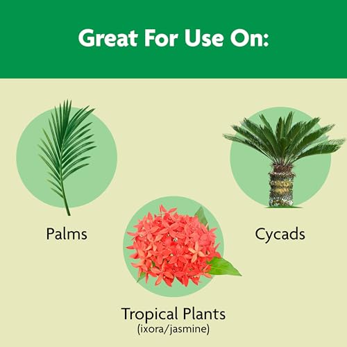 Miracle-Gro Palm Tree Food, Plant Food for Deep Green, Faster Growing Foliage with Slow Release Nitrogen, 20 lbs. - Image 2