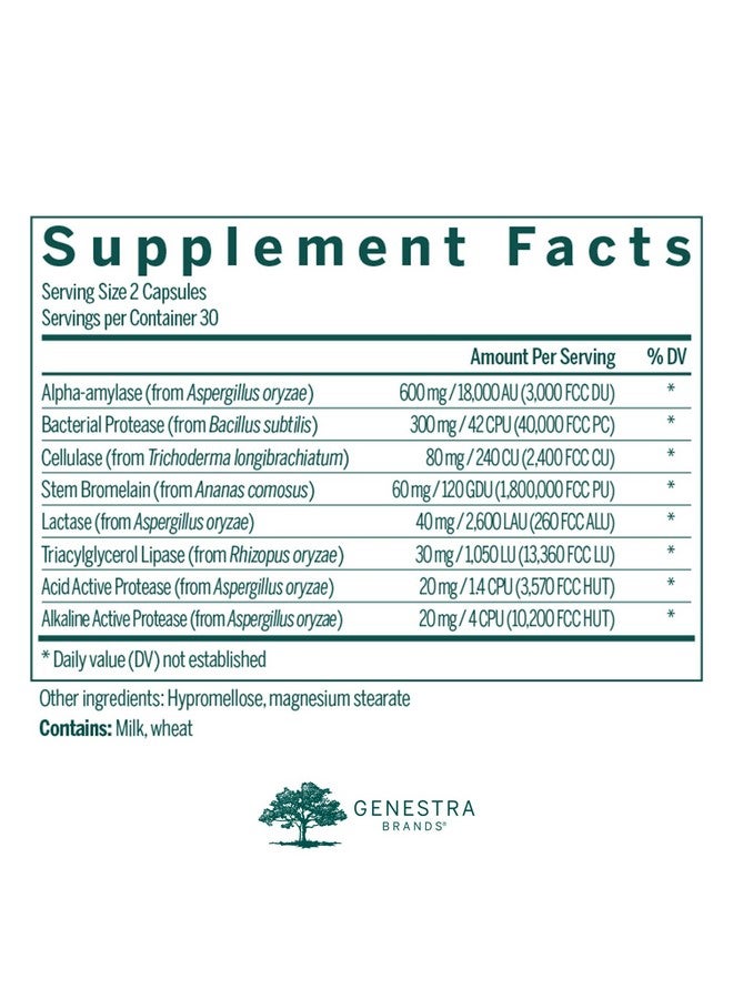 Genestra Brands V-Enzymes | Vegan Digestive Support to Help Lactose Digestion | 60 Capsules - Image 2