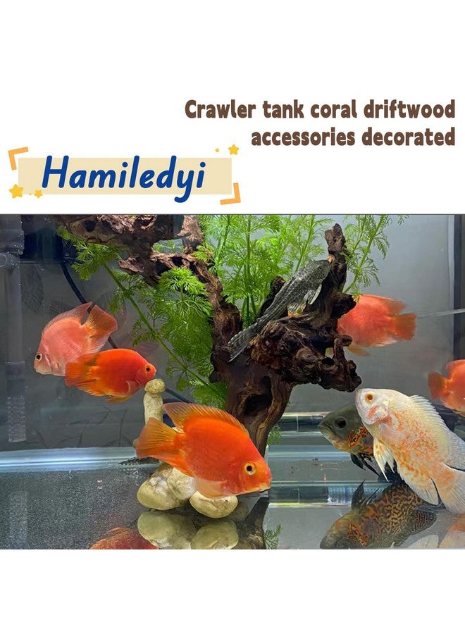 Hamiledyi Hamiledyi Aquarium Driftwood 3PCS Natural Trunk Driftwood Assorted Branches 8-12" Reptile Wood Decor Terrarium Ornament Fish Tank Decoration - Image 3