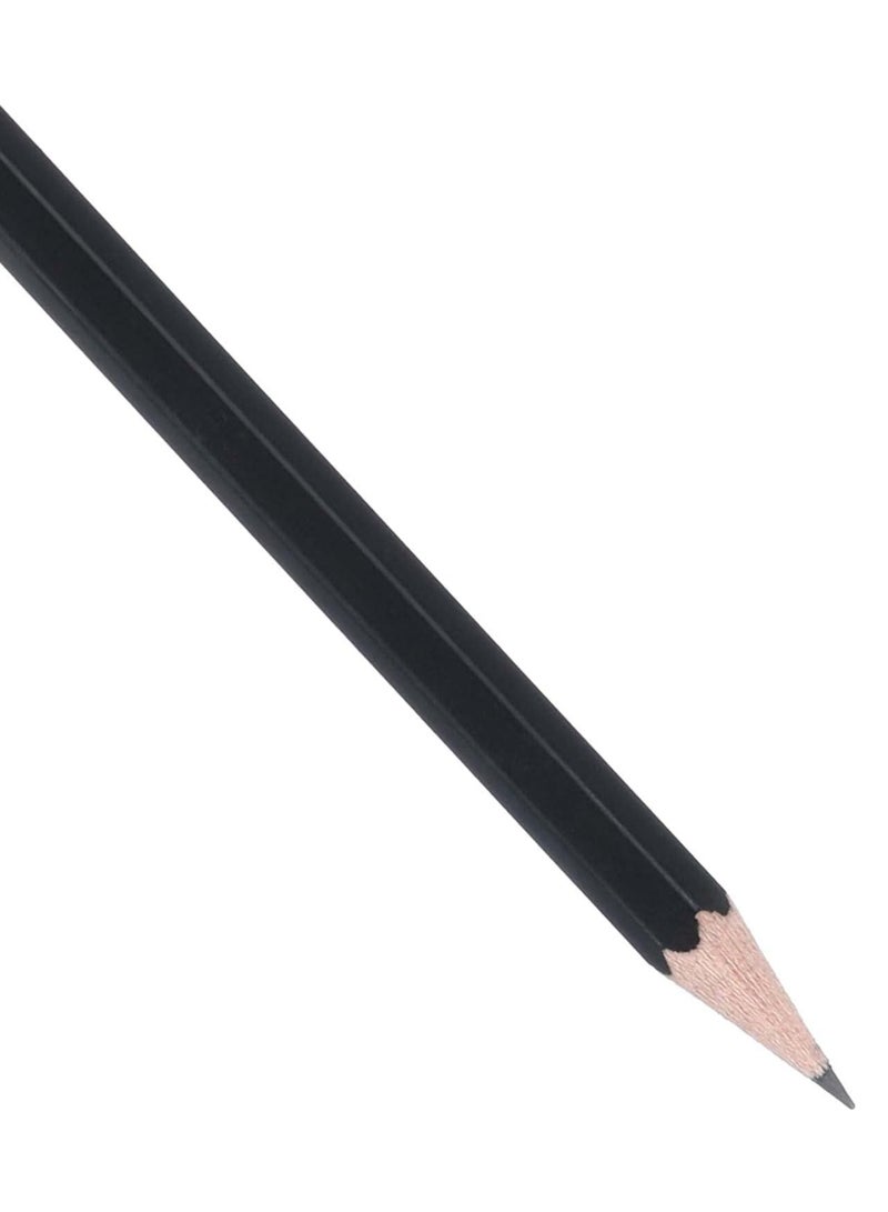 فابير كاستل علبة أقلام رصاص 12 قلم 2 بى + ممحاة رقم 2112 - Image 3