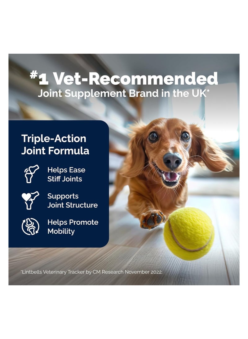 Yumove Hip & Joint Supplement for Dogs with Glucosamine, Hyaluronic Acid, Green Lipped Mussel & Omega 3 Joint Supplement - Regular and Advanced Strength (300ct, Chewable Tablets) - Image 4