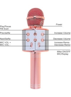 Ko10 Wireless Microphone Hi Fi Speaker Pink - pzsku/ZB85A9D67B82CE4AB1E6DZ/45/_/1740991909/c70d2452-ac70-4683-9b2d-611cb5990f64