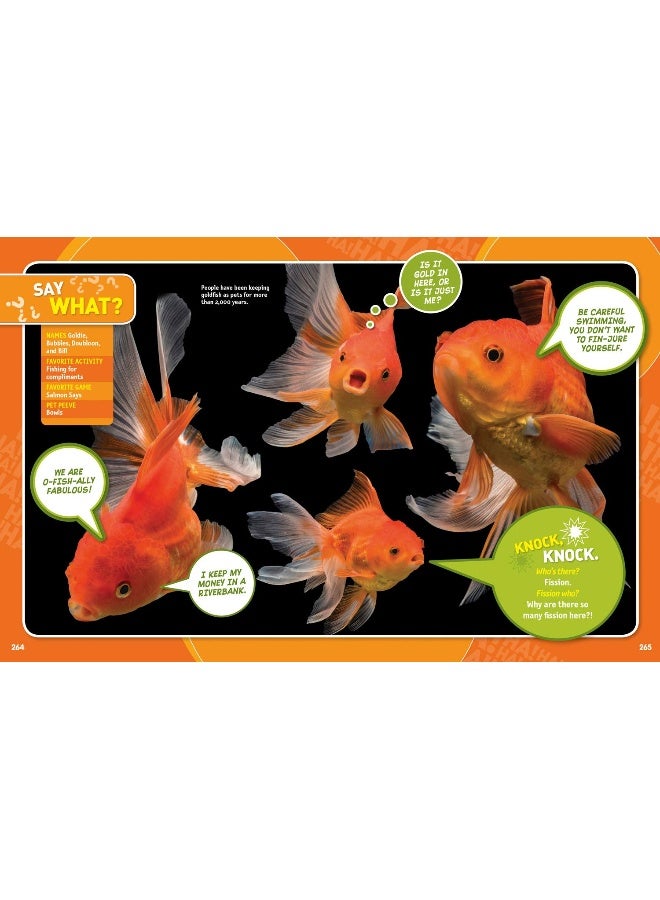 Just Joking: Jumbo 2  - Image 5