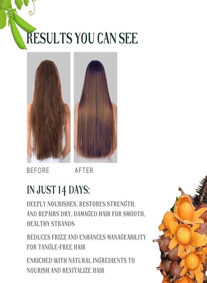 CAMISTA Hair Fall Control Shampoo & Damage Repair Conditioner (800ml) | Reduces Up to 90% Hair Fall | Promotes Hair Growth | Repairs Damaged Hair | Softens Curls | Chemical-Free with Onion & Rosemary | Frizz Control & Breakage Prevention for Men & Women - Image 5