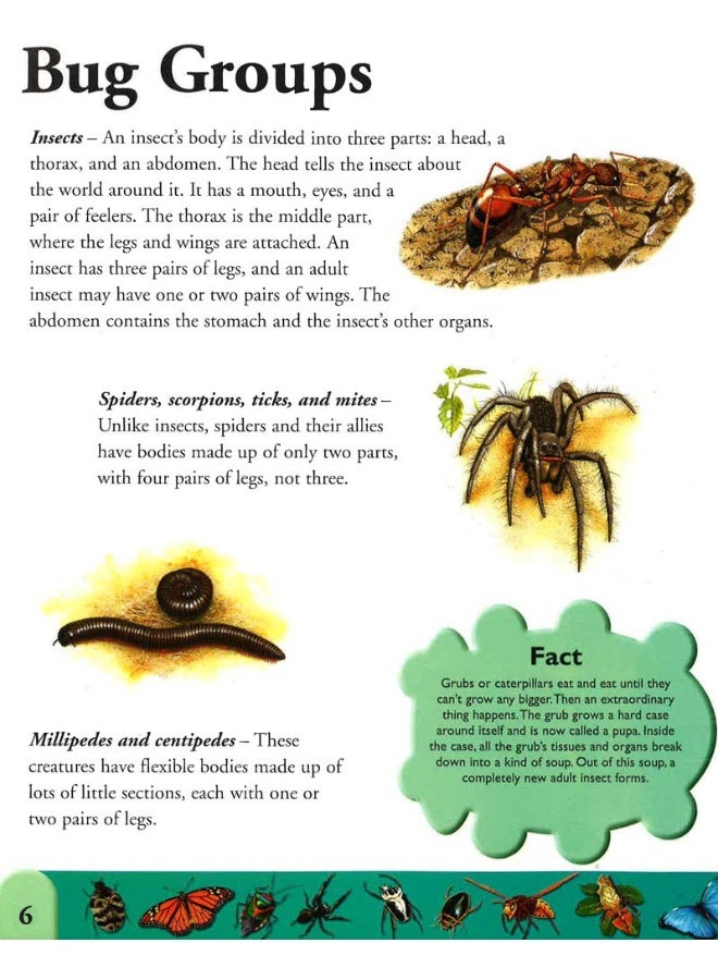Bugs Dictionary : An A To Z Of Insects And Creepy Crawlies - Image 3