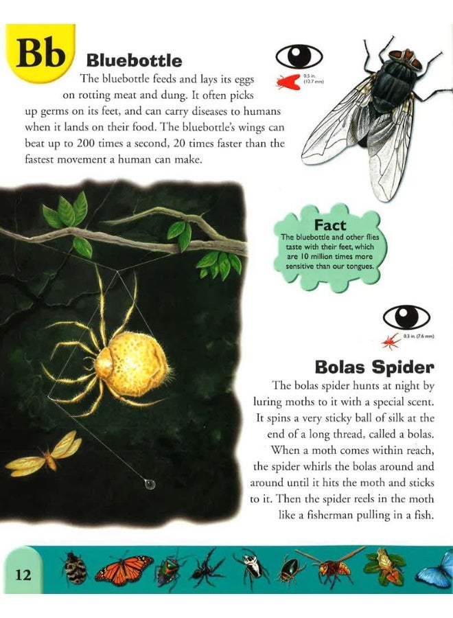Bugs Dictionary : An A To Z Of Insects And Creepy Crawlies - Image 5