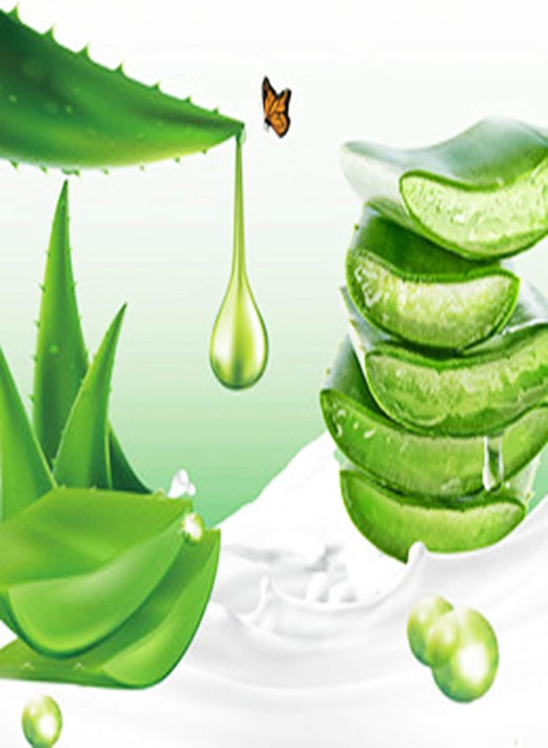 GGOOT 100Pcs Aloe Seeds Perennial Aloe Vera Plant Balcony Garden Potted Bonsai Plant Home Office Indoor Desk Windowsill Decor Aloe Seeds  - Image 2