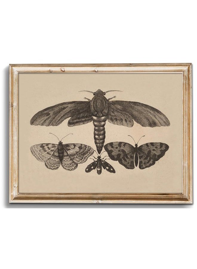 UNIRO Vintage Wall Art Prints, Moody Moth and Butterfly Wall Painting Canvas Prints, Antique Dark Cottage Room Decor Butterfly Sketch Oil Painting, Rustic Neutral Insect Aesthetic Wall Decor Vintage - Image 1