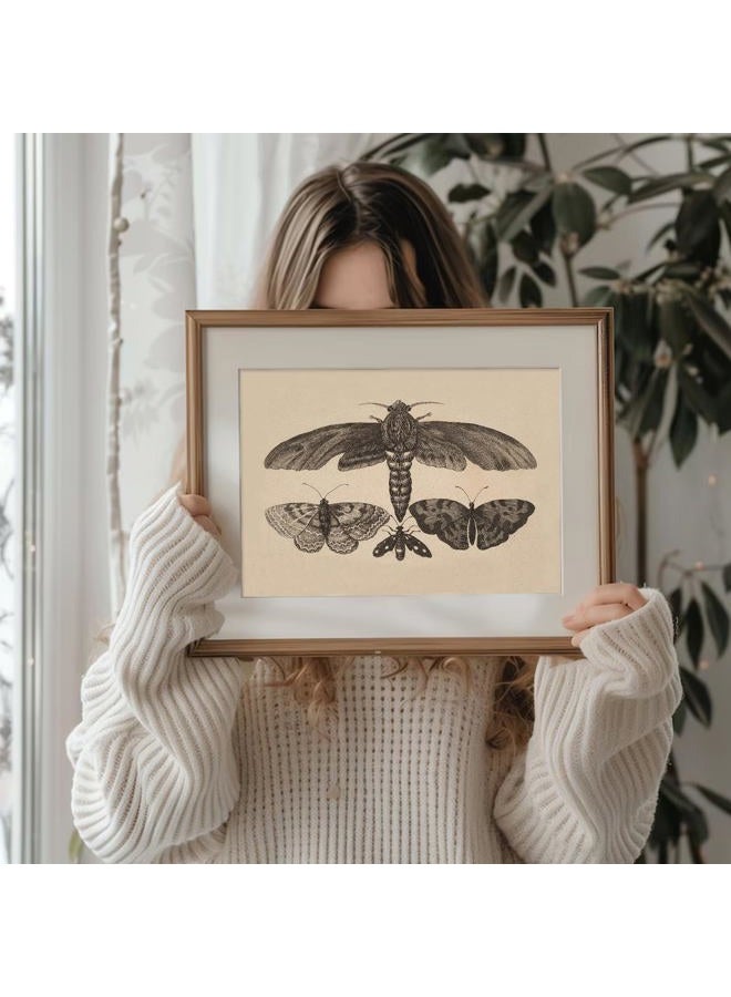 UNIRO Vintage Wall Art Prints, Moody Moth and Butterfly Wall Painting Canvas Prints, Antique Dark Cottage Room Decor Butterfly Sketch Oil Painting, Rustic Neutral Insect Aesthetic Wall Decor Vintage - Image 3