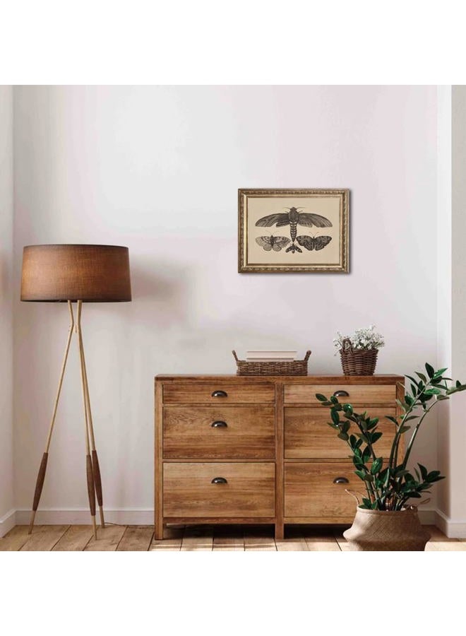 UNIRO Vintage Wall Art Prints, Moody Moth and Butterfly Wall Painting Canvas Prints, Antique Dark Cottage Room Decor Butterfly Sketch Oil Painting, Rustic Neutral Insect Aesthetic Wall Decor Vintage - Image 2