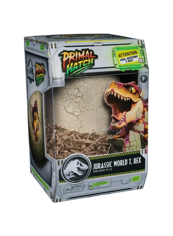 JURASSIC WORLD Jurassic Hatching Dino Interactive T-Rex/Tyrannosaure 6072462 - Image 1