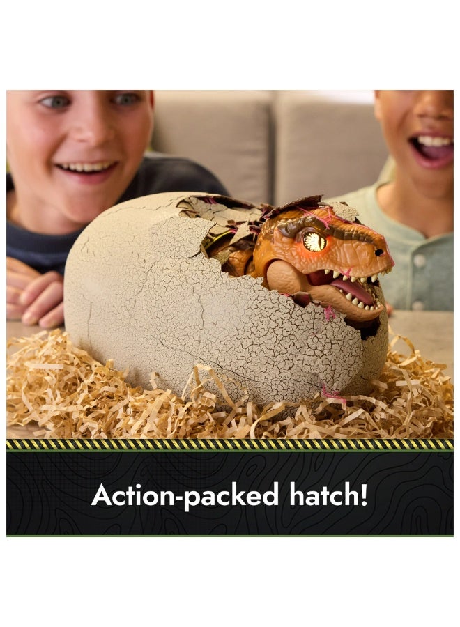 JURASSIC WORLD Jurassic Hatching Dino Interactive T-Rex/Tyrannosaure 6072462 - Image 5