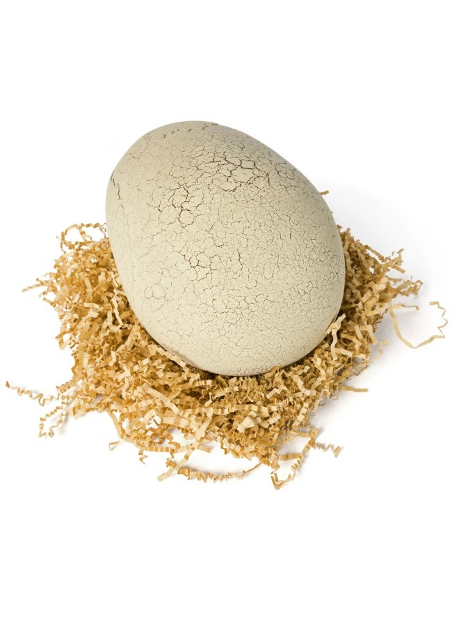 JURASSIC WORLD Jurassic Hatching Dino Interactive T-Rex/Tyrannosaure 6072462 - Image 2