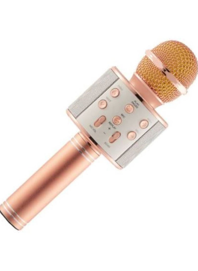 MICROPHONE WS 858