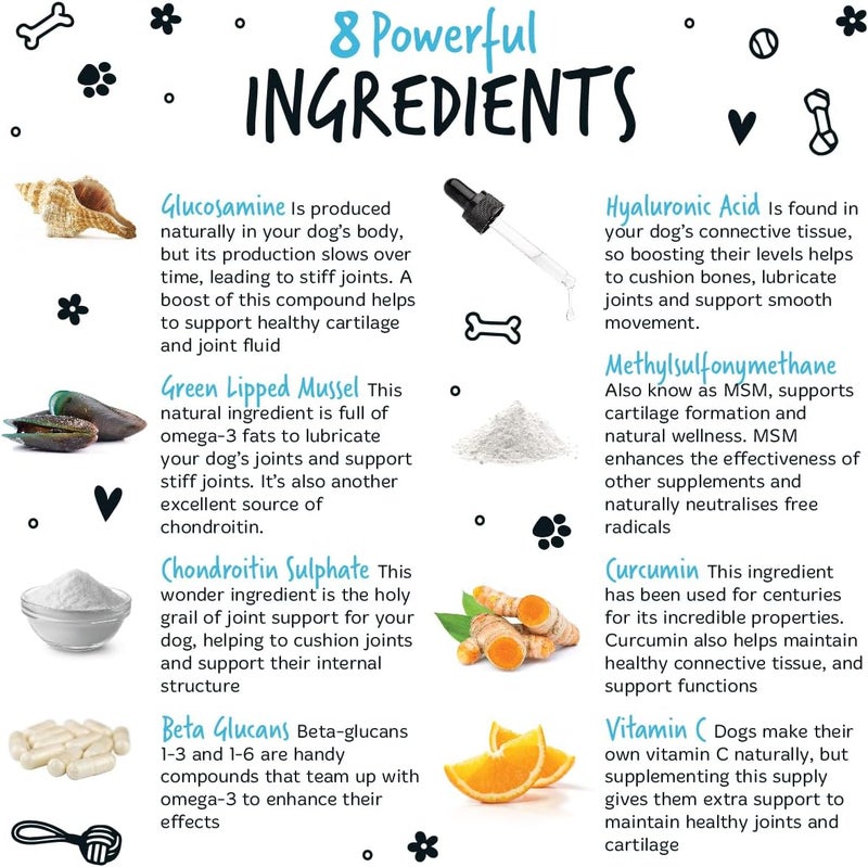 Bugalugs Joint & Hip Supplement Powder for Dogs - 80G - Image 3