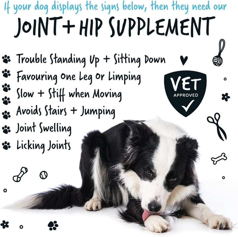 Bugalugs Joint & Hip Supplement Powder for Dogs - 80G - Image 5