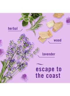 febreze Odor Fighting Fade Defy Plug Air Freshener Refill Mediterranean Lavender 3 .87 Fl. Oz. Oil Refills  - Image 3