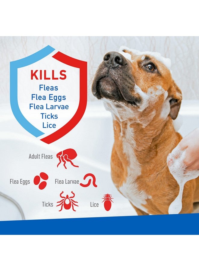 Farnam Adams Plus Flea & Tick Shampoo With Precor For Cats, Kittens, Dogs & Puppies Over 12 Weeks Of Age Sensitive Skin Flea Treatment | Kills Adult Fleas, Flea Eggs, Ticks, And Lice| 12 Ounces - Image 2