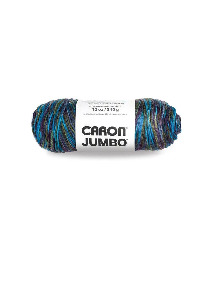 Caron Jumbo Yarn Peacock - Image 3