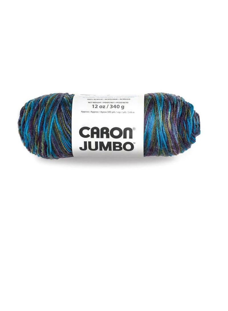 Caron Jumbo Yarn Peacock - Image 2