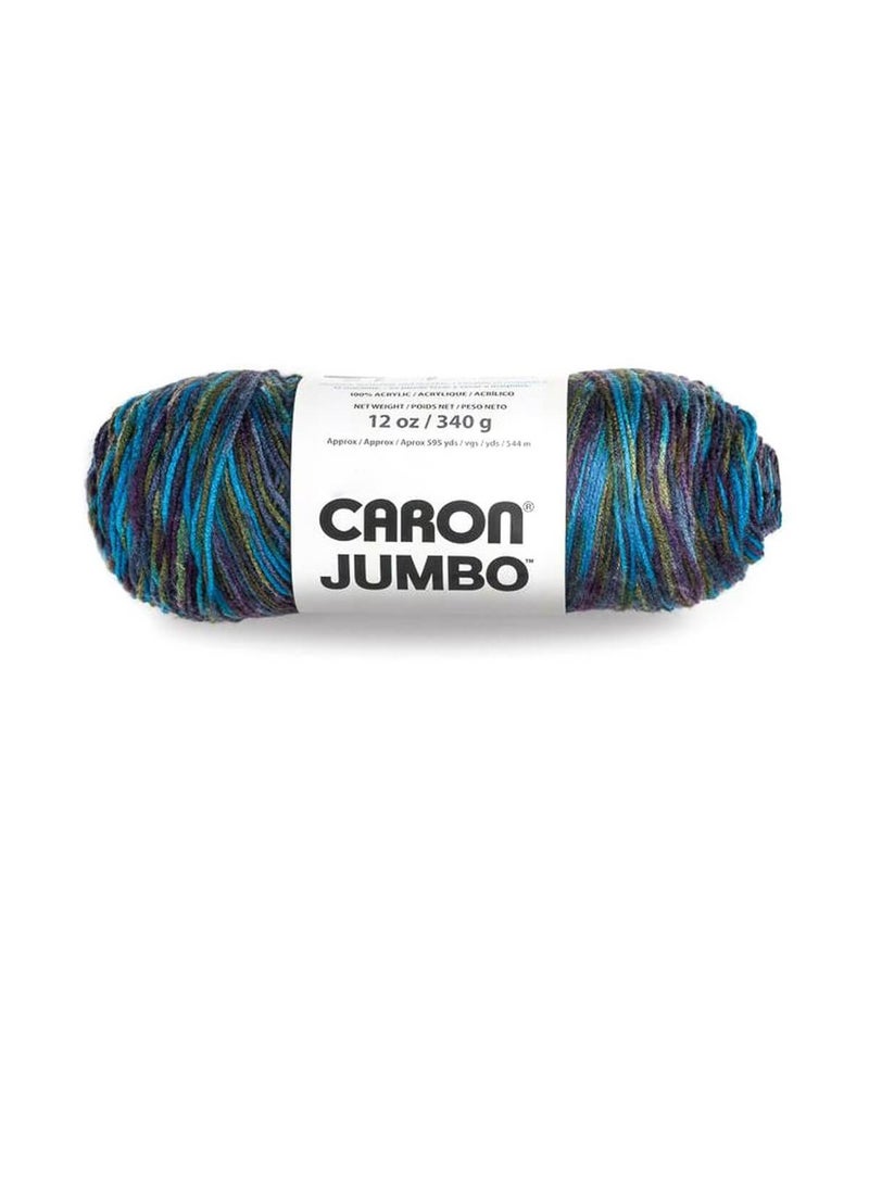 Caron Jumbo Yarn Peacock - Image 1