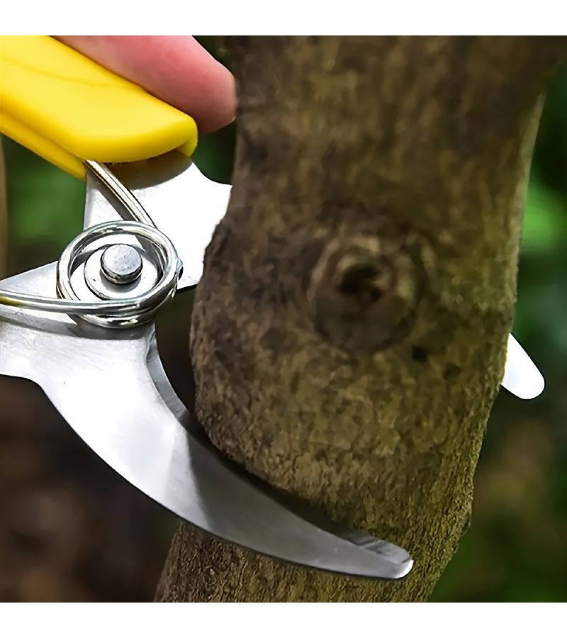 A Stainless Steel Grafting Tool Professional Gardening Pruning Shears With Bark Cutter Green Fruit Tree Seedling Grafting Ring Cutter Suitable For Orchards And Vineyards 1pc - Image 4