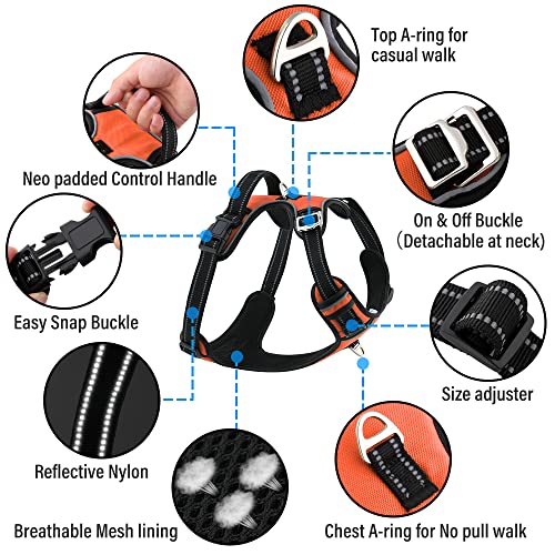HANK Pet Belt for Dog - 3M Night Reflective - Oxford Fabric - Adjustable No Pull Dog Harness - Chest - (Min 22- Max 27" inches) (Medium, Neon Orange) - Image 2
