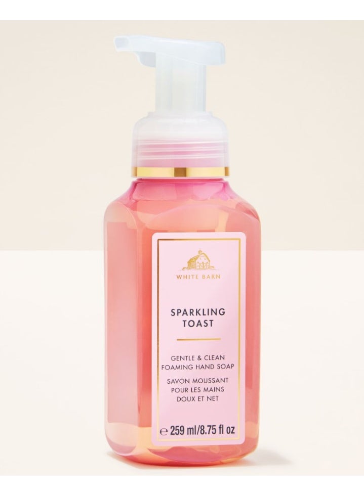 Bath & Body Works Sparkling Toast Hand Soap & Travel Fragrance Mist Set - Image 3