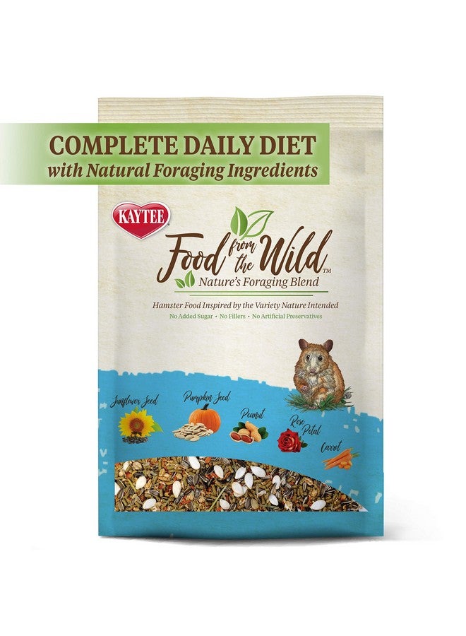 Kaytee Food from The Wild Natural Pet Hamster Food, 2 Pound - Image 2