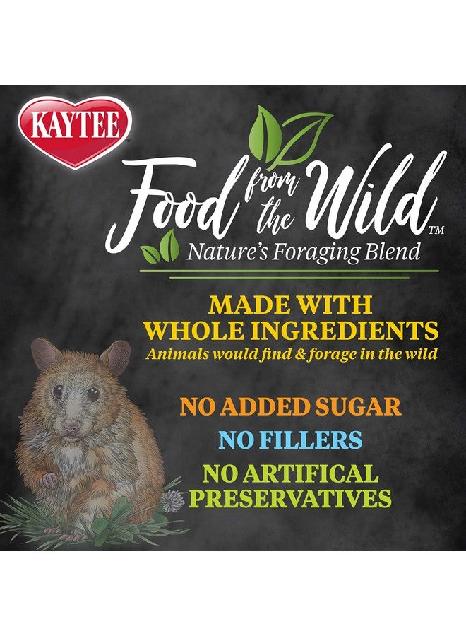 Kaytee Food from The Wild Natural Pet Hamster Food, 2 Pound - Image 4