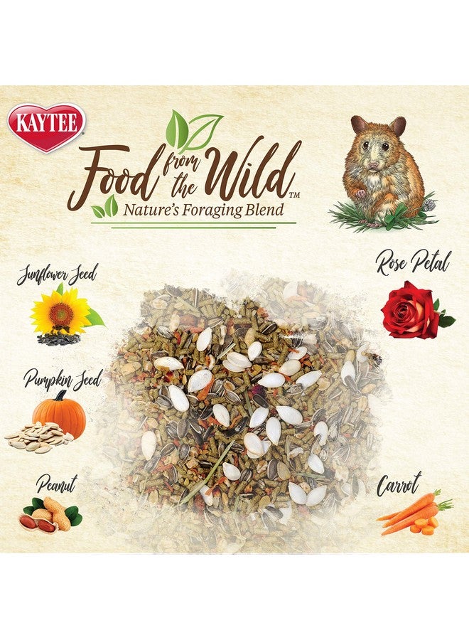 Kaytee Food from The Wild Natural Pet Hamster Food, 2 Pound - Image 3