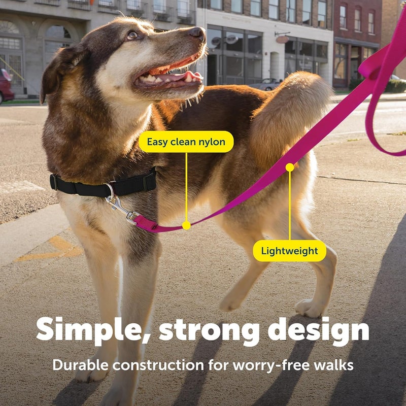 PetSafe Nylon Leash, 3/4" x 6', Deep Purple - Image 4