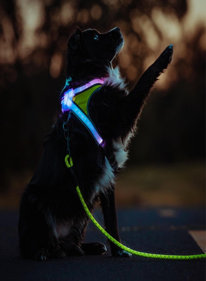 Noxgear LightHound (Small) + High-Visibility Dog Leash - Illuminated and Reflective Harness for Dogs Including Multicolored LED Fiber Optics (USB Rechargeable, Adjustable, Lightweight, Rainproof) - Image 2