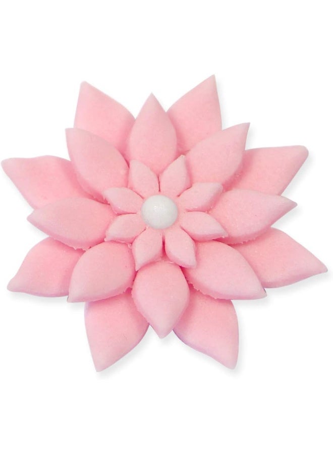 PME DA634 Daisy Marguerite Plunger Cutters, Mini, Small, Medium and Large Sizes, Set of 4 White - Image 2