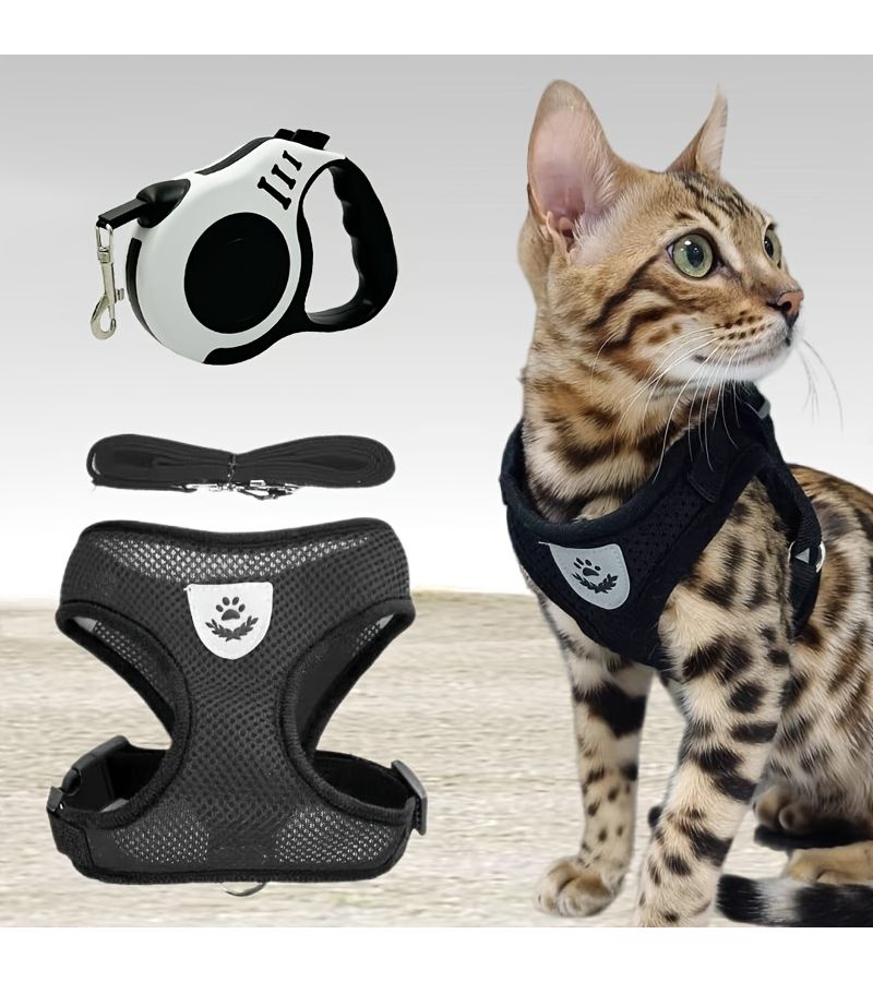 Black M 3 Pcs Double Switch Retractable Pet Leash Set For Small Dogs Easy Control Comfortable Soft Mesh Harness Vest - Image 1