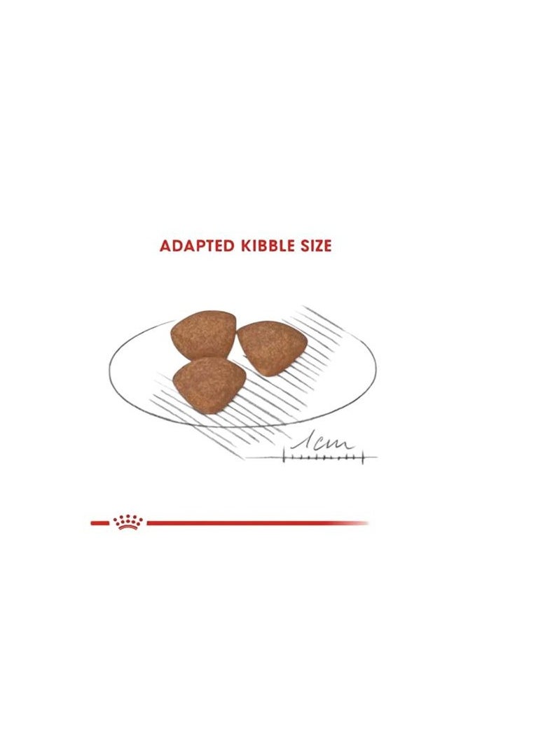 ROYAL CANIN Health Nutrition Mini Puppy Dog Food 4kg  - Image 2